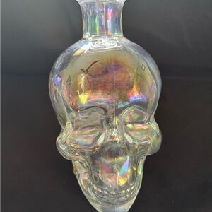 Iridescent Skull Glass Art Piece